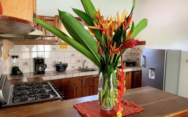 Ola Bonita BeachFront Apart Hotel