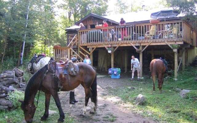 Algonquin Eco-Lodge