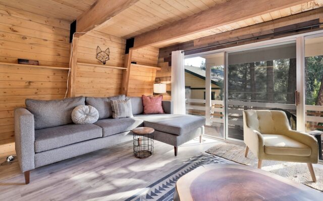 Fox & Bears Retreat#2190