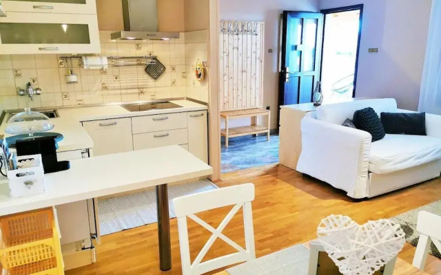 Tiny Shell House