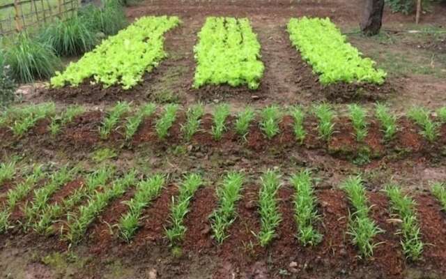 On The Mekong Resort