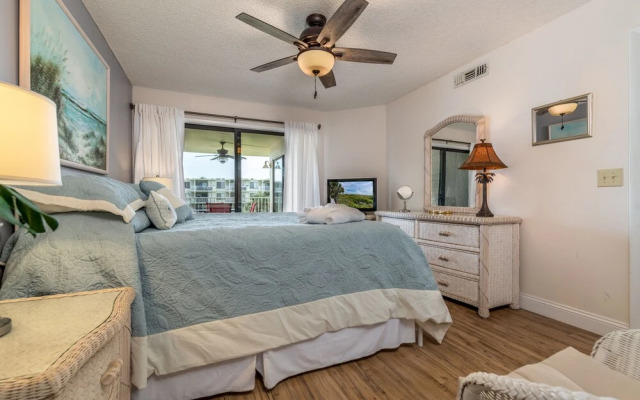 Colony Reef by Vtrips