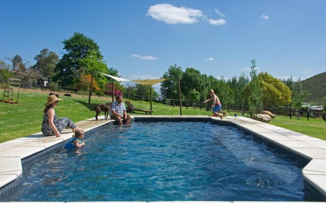 Pat Busch Mountain Reserve