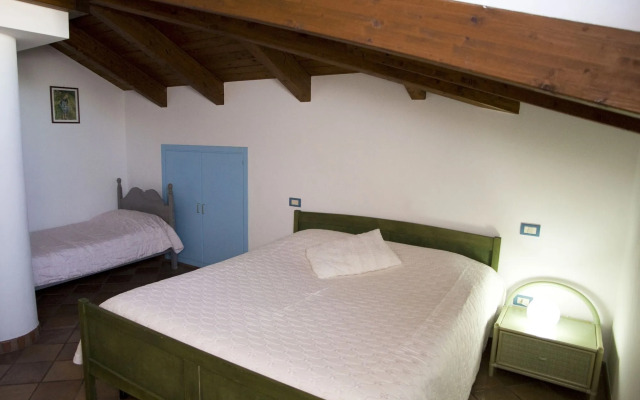 All'ombra del palmeto