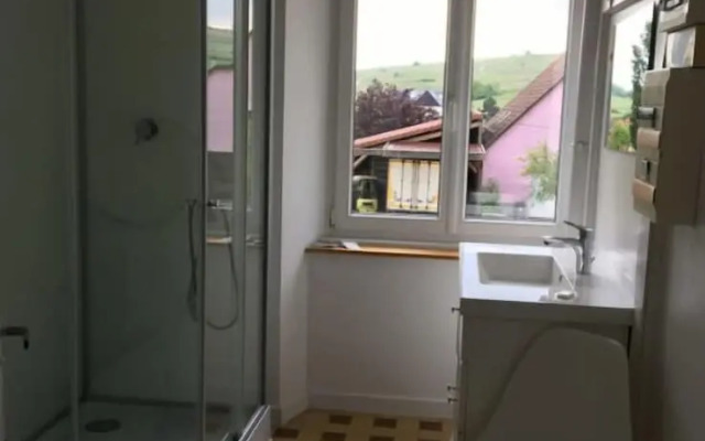 Gîtes Au Domaine Greiner