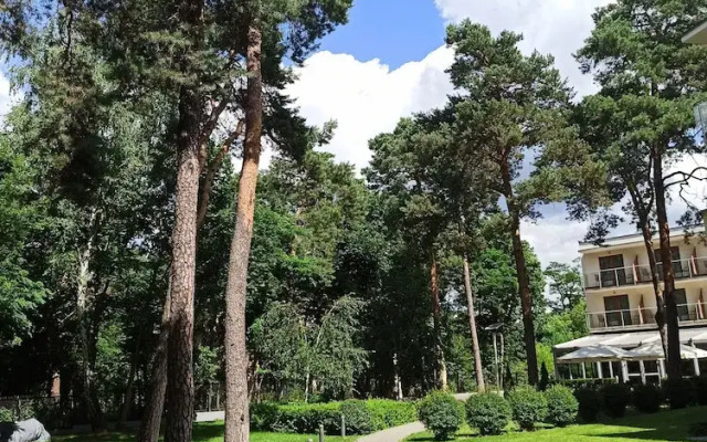 Z-Hotel Business & Spa