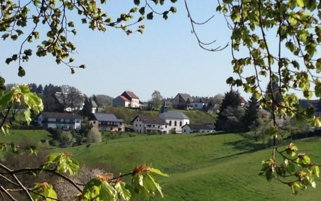 Fewo Vulkaneifel