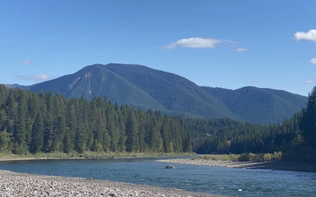 The Reclusive Moose Cabins