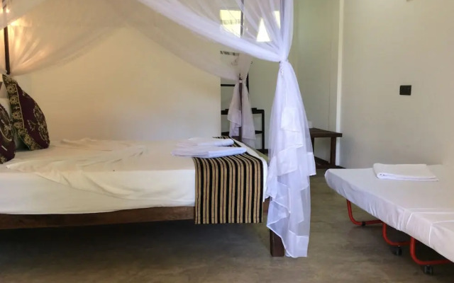 Sigiriya Rock Hide