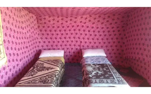 Locals Under Stars Trips