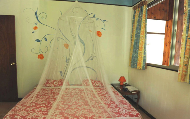 Pension Te Miti - Hostel