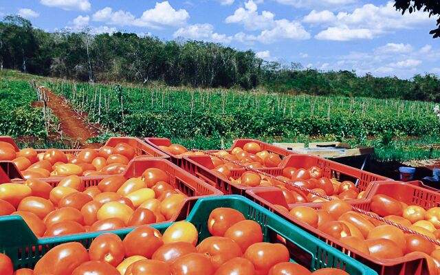 Hacienda Uxmal Plantation & Museum - All Inclusive