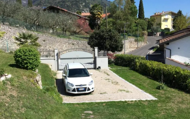 Verde E Panorama