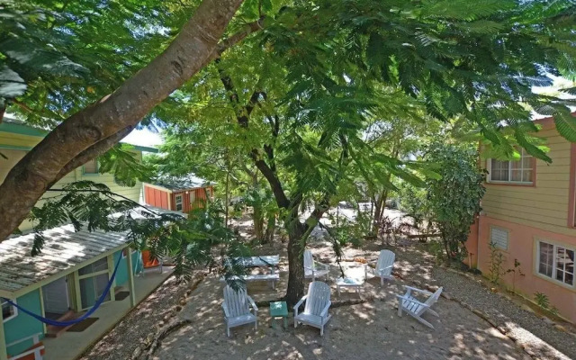 One World Rentals