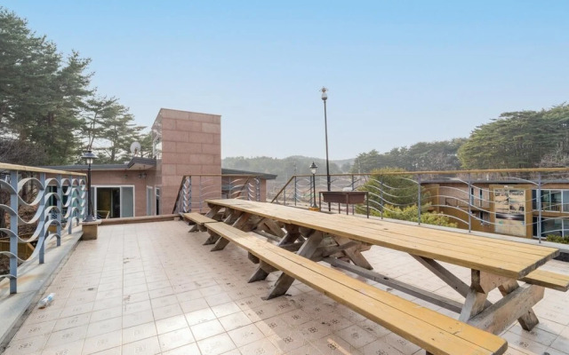 Gangneung pinepalace pasion