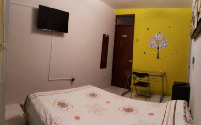 Oyster Hostel