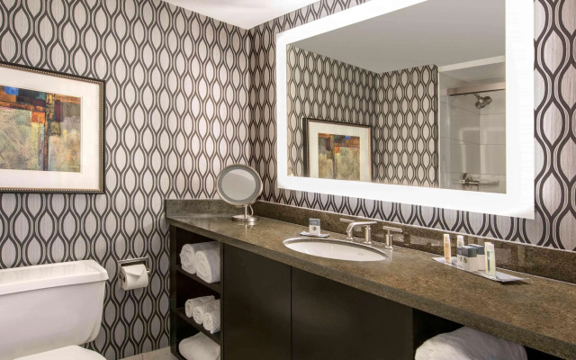 DoubleTree by Hilton Chicago Schaumburg