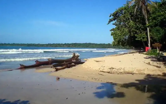 Cariblue Beach and Jungle Resort