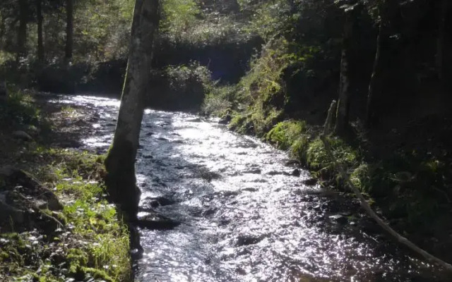 Le Moulin Gitenay - Yourte