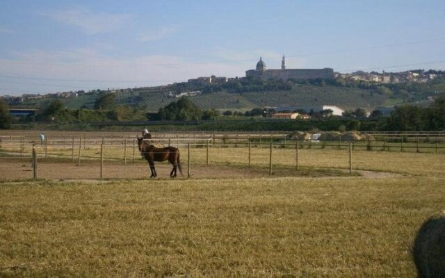 Conero Ranch