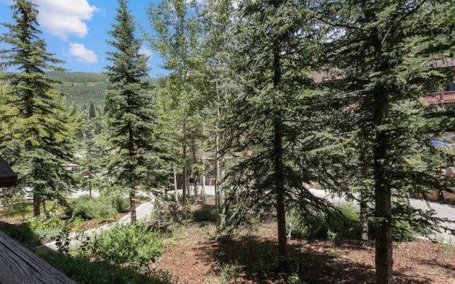 1106 - Studio Standard Eagle Springs West Studio