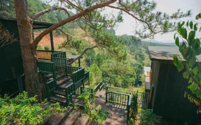 Lavender Glamping and Resorts Dalat