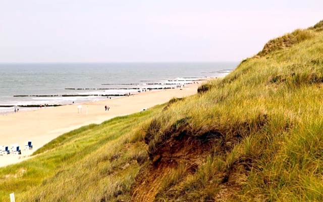 Strandhoern