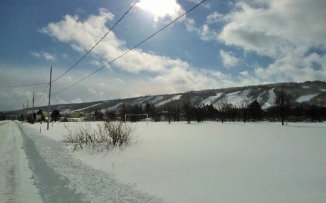 7 Bedroom Blue Mountain Chalet with Sauna & Hot Tub #35R