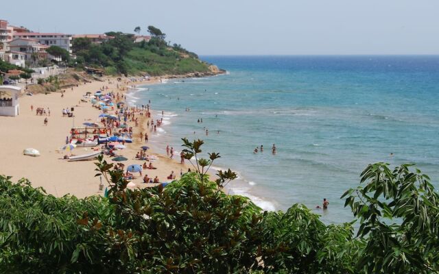 Japigium Attico Nemo