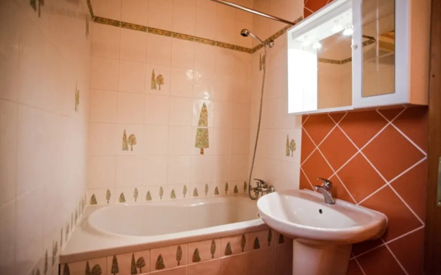 Villa in Moravia With Infrared Sauna