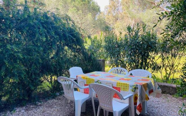 Appartement Calvi, 1 pièce, 4 personnes - FR-1-63-285