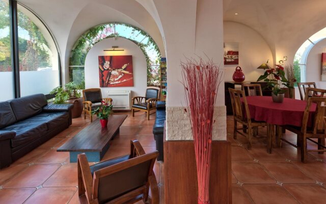Hotel Dauphin Blanc