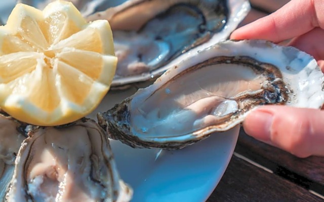 Novotel Thalassa Oleron Saint-Trojan