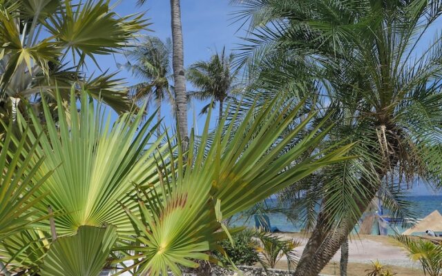 The Wild Orchid Resort - Moalboal