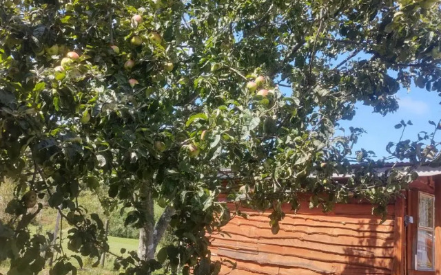 Cabanas Mandala Chamiza