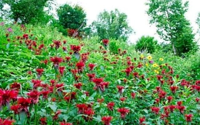 Takinoue Hotel Keikoku - Vacation STAY 32411v