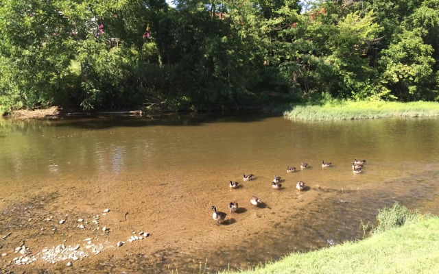 Pigeon River Inn