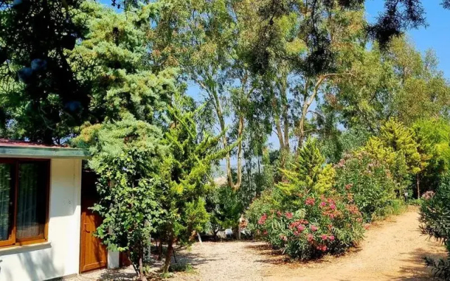 Sole Foça