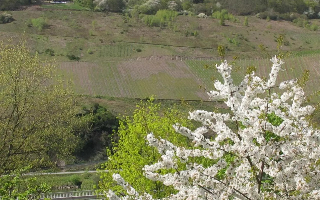 Weinhof Michael Morbach