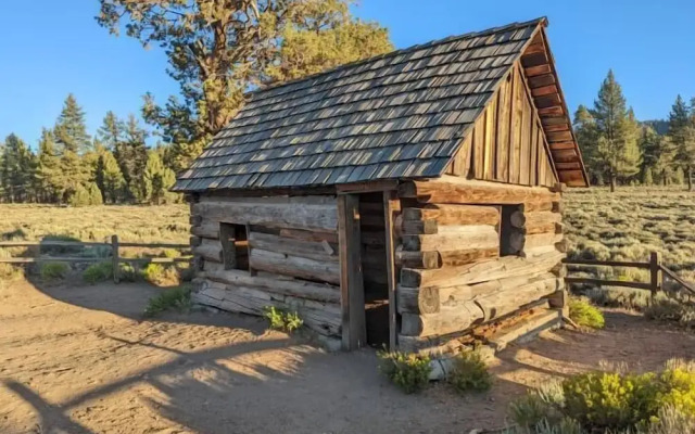 Sugar Bear Retreat #2319