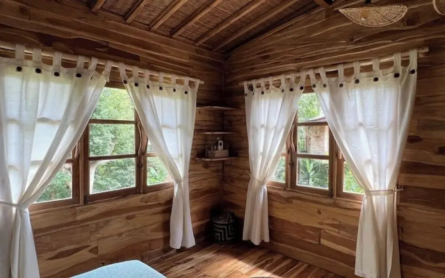Roots Tree House