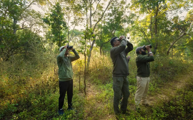 Pench Jungle Camp