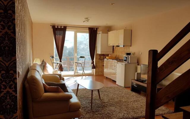Prahova Valley Apartment