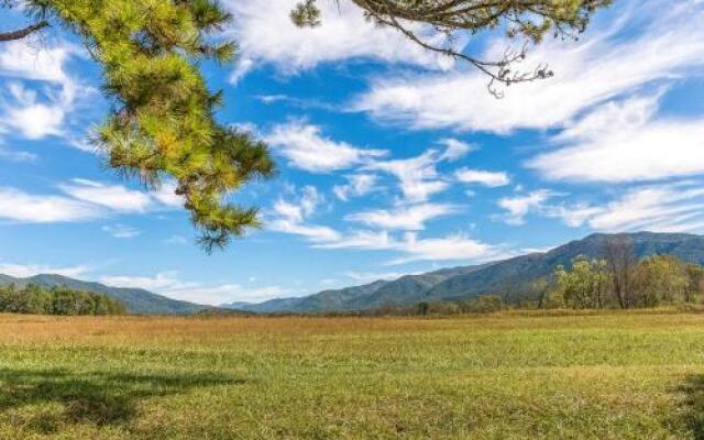 Papa Bears Cabin by RedAwning