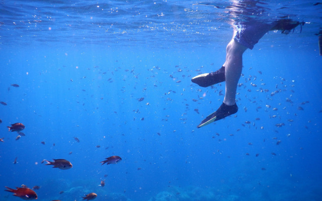 Guest House Darumaya - Hostel