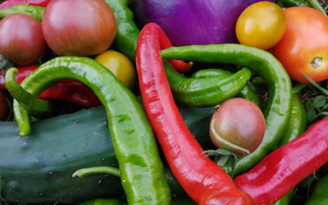 Logis Hotel Xoko-Goxoa