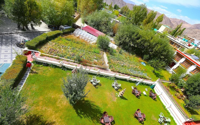 Oasis Villa