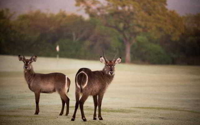 Nkonyeni Lodge & Golf Estate