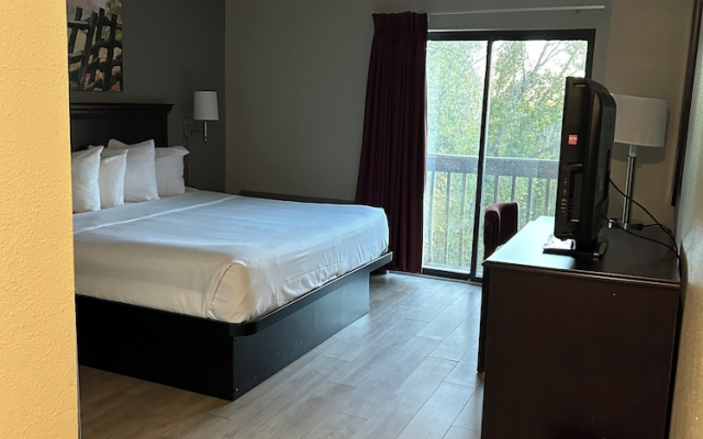 Park Inn