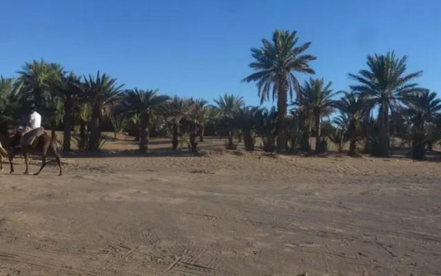 Oasis Camp